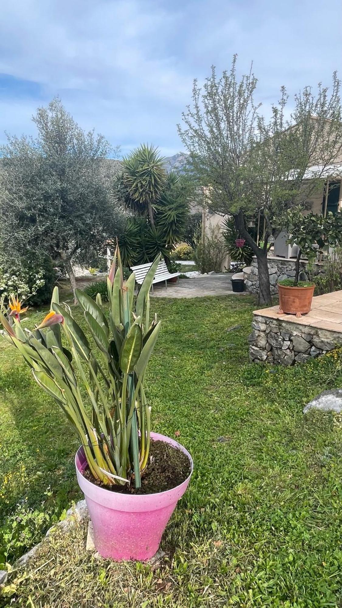Rez De Jardin, Entre Mer Et Montagne Levens Exterior photo