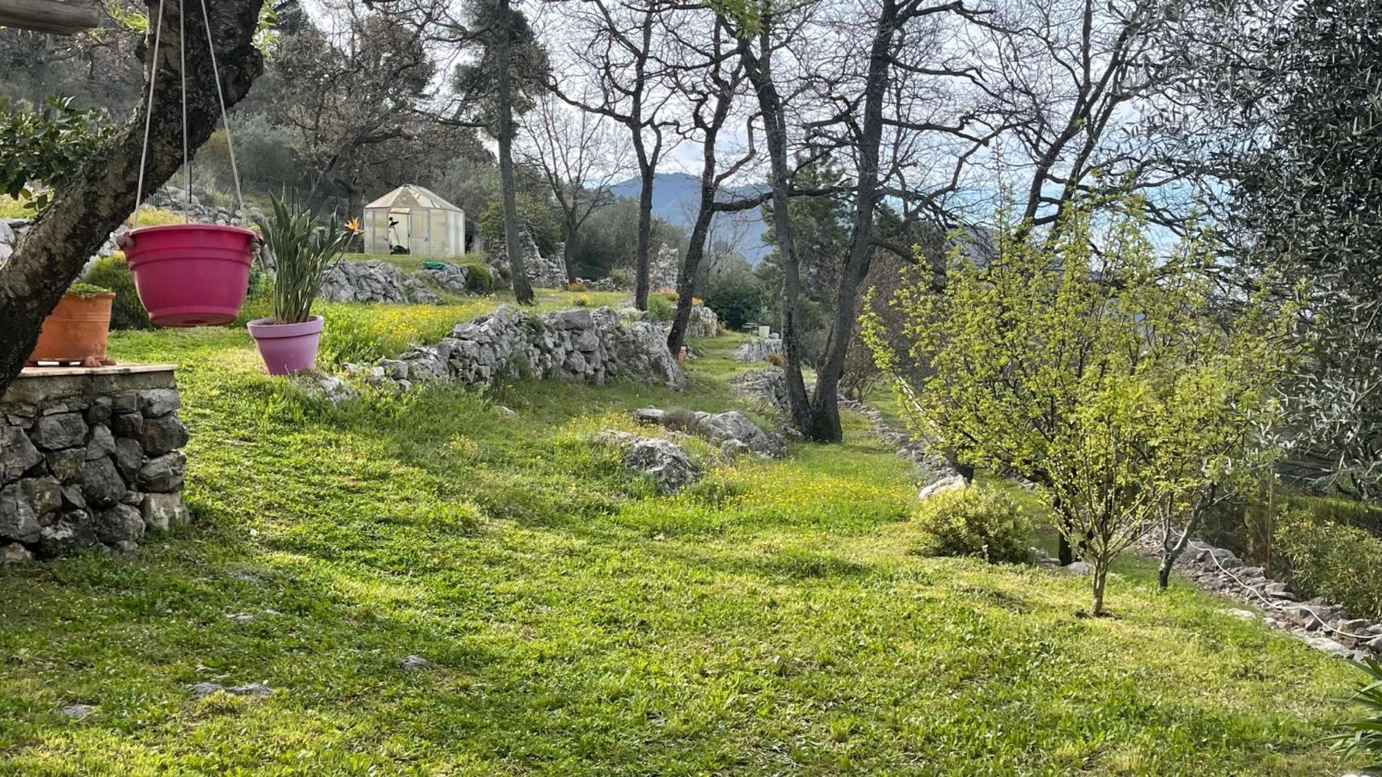 Rez De Jardin, Entre Mer Et Montagne Levens Exterior photo